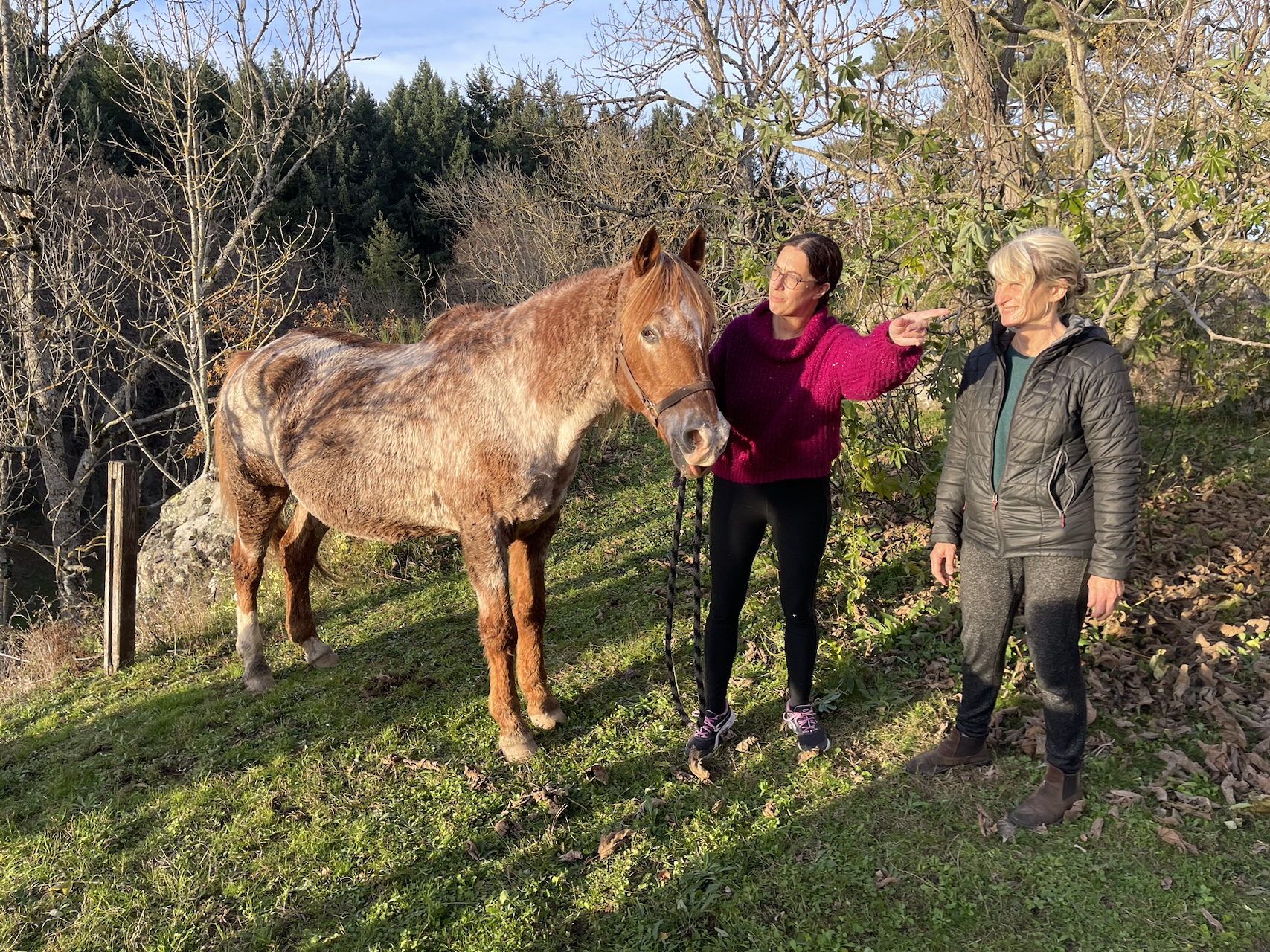 Deux femmes avec cheval Equicoaching